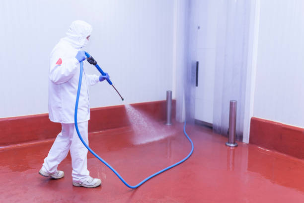 Best Boat and Dock Cleaning  in Oroville East, CA